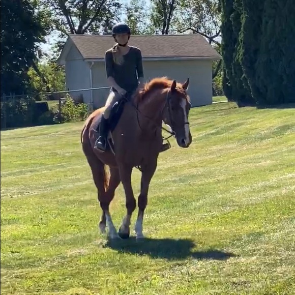 Meet your Posher, Francesca - Picture 16 of 16